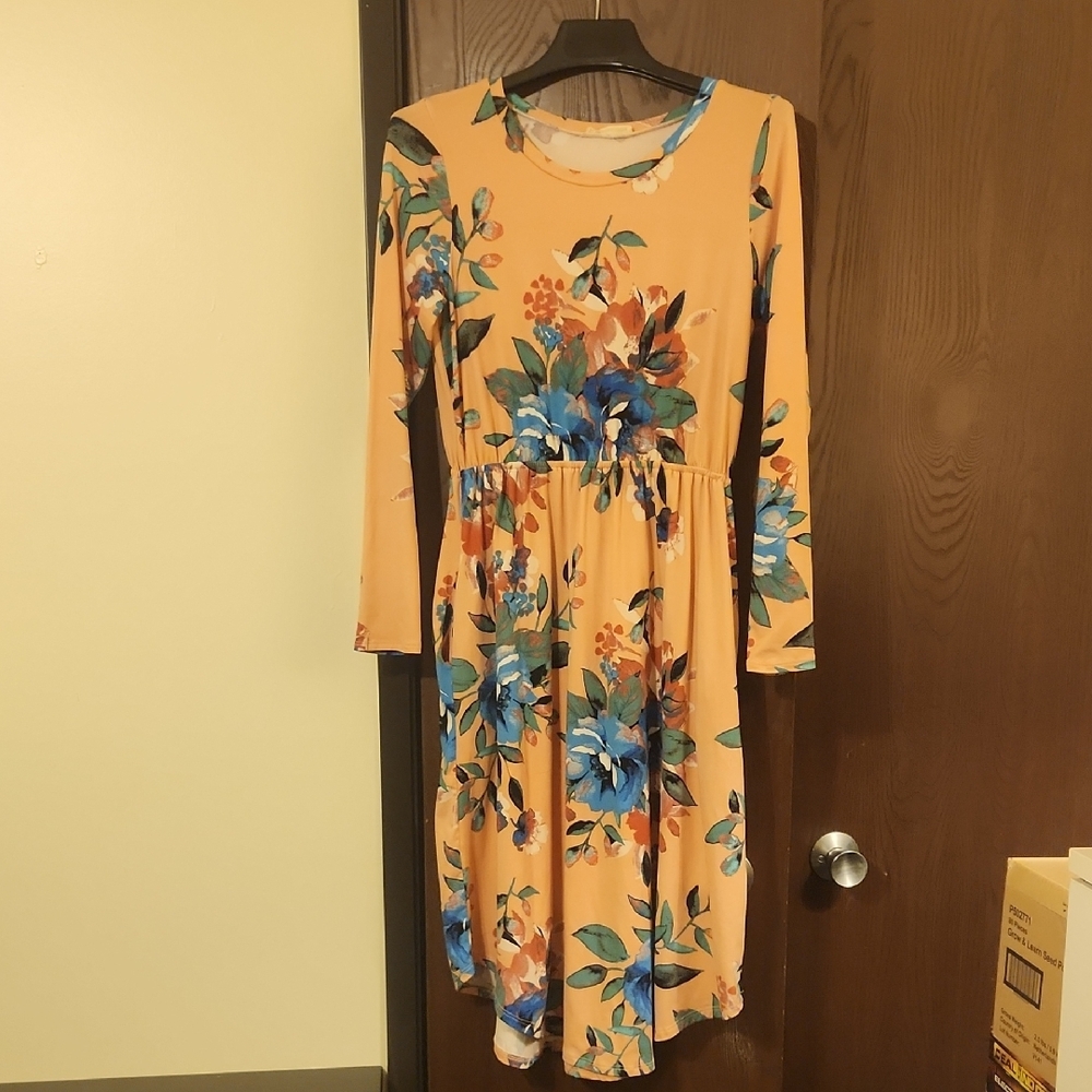 Pink and Blue Long Sleeve Fit and Flare Dress